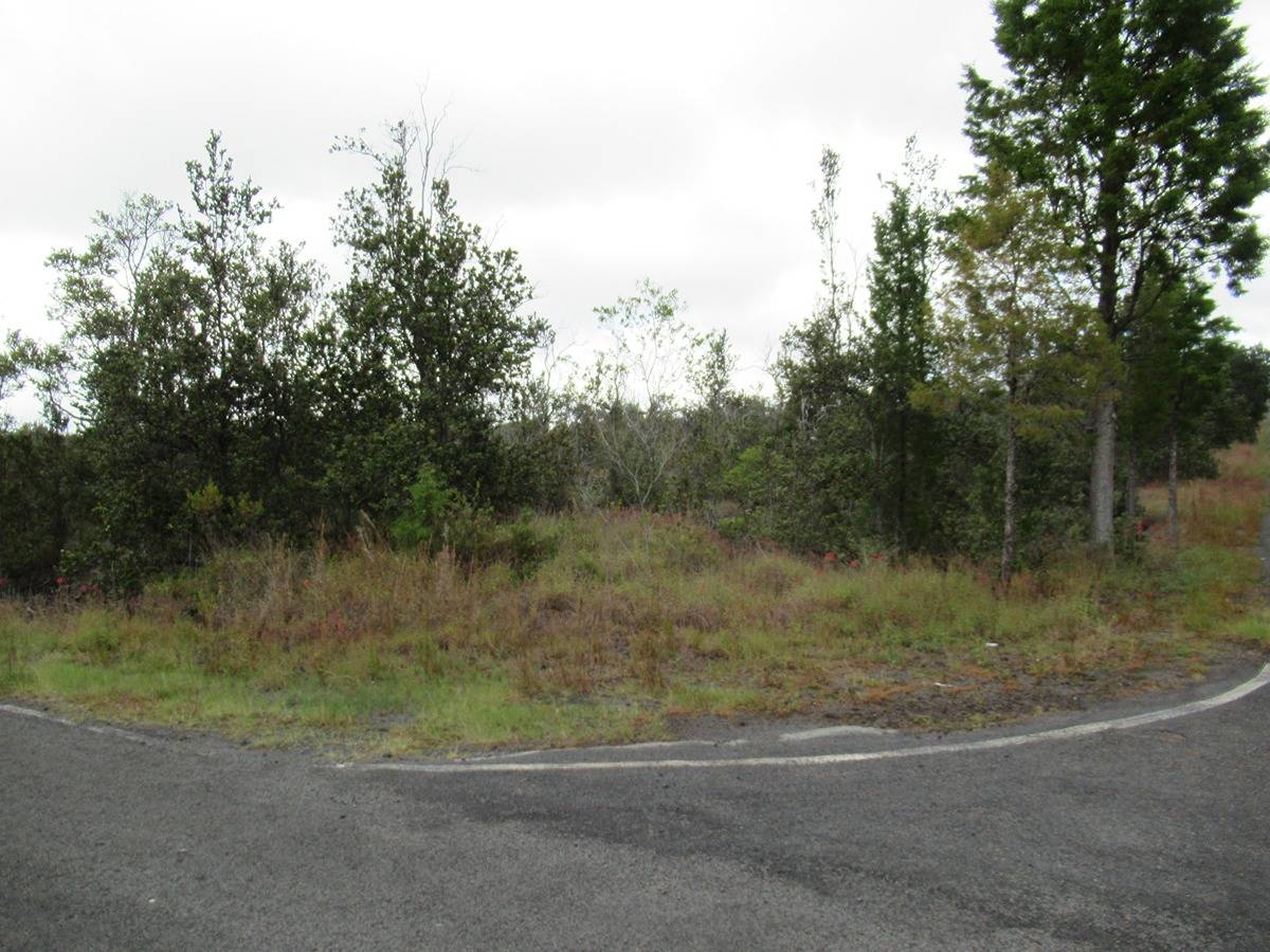 a view of a yard with a tree