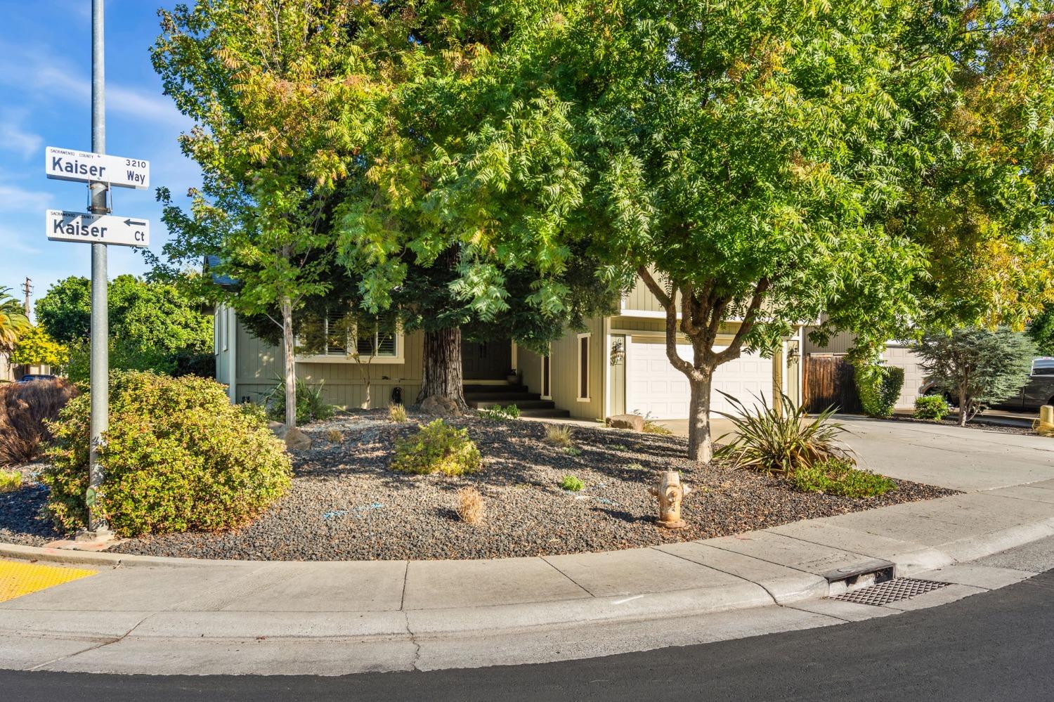 a front view of a house with a yard and tree s