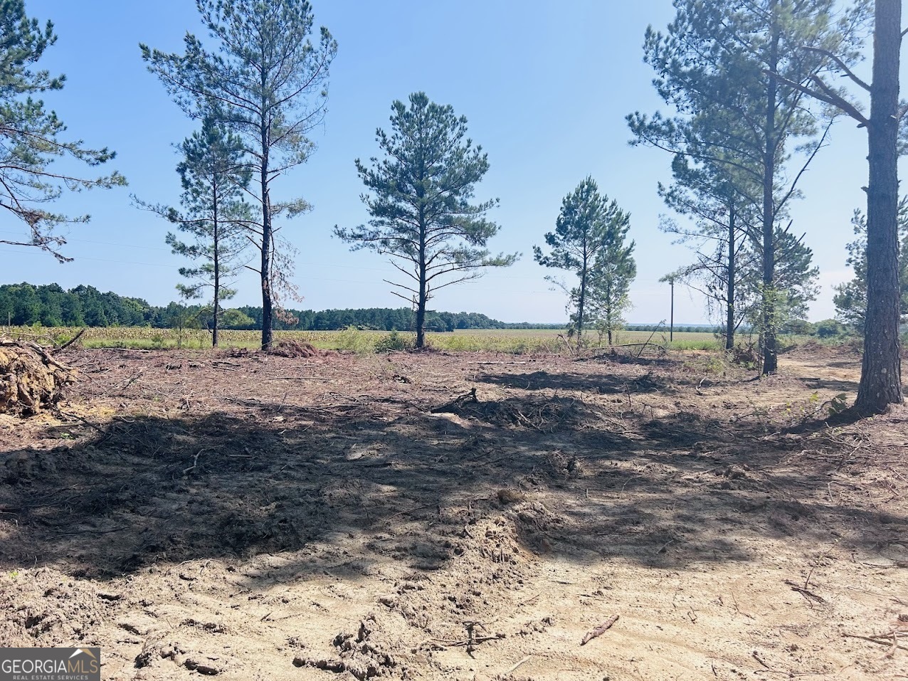 a view of dirt yard with a barn