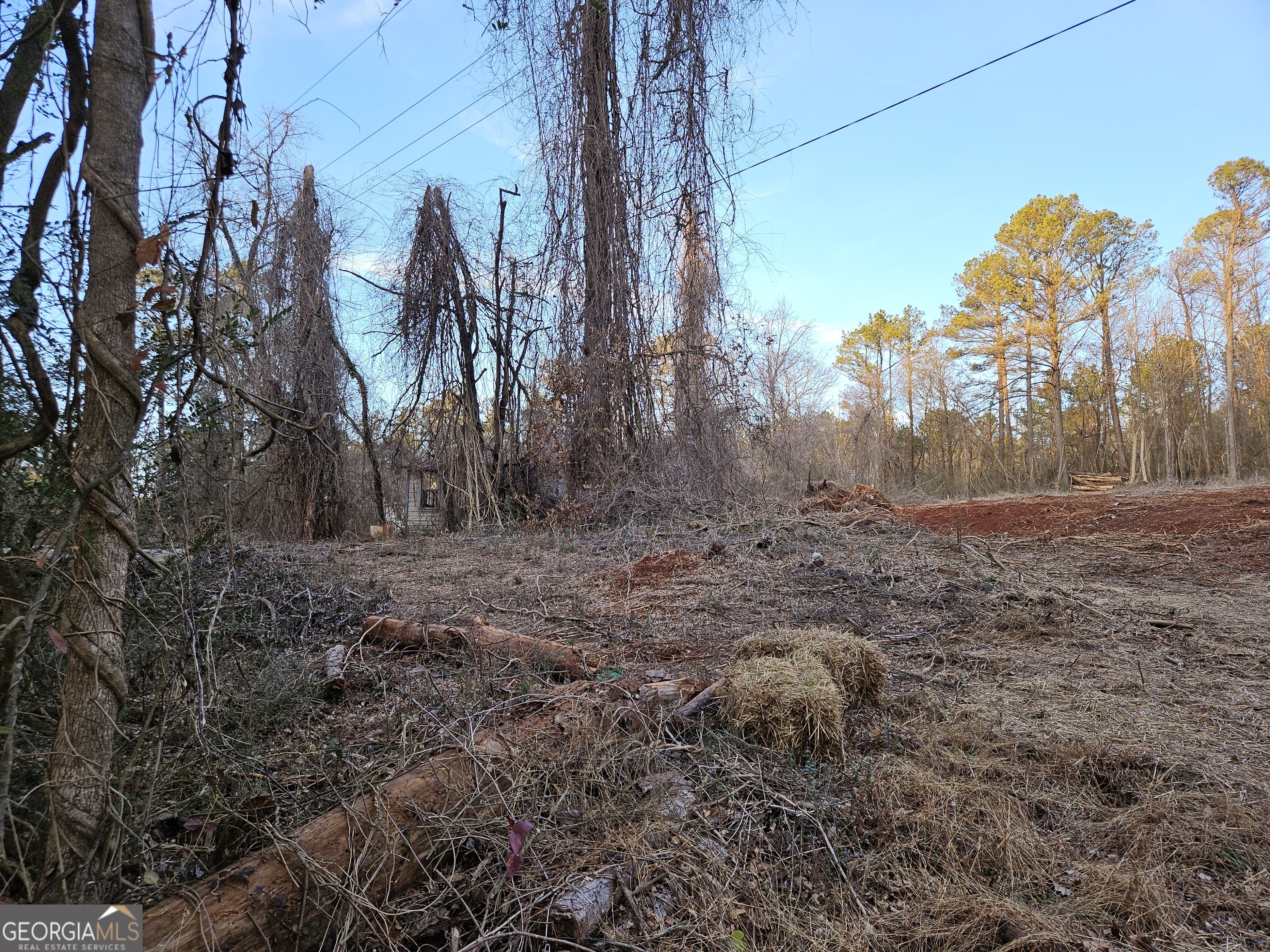 a view of a backyard of the house