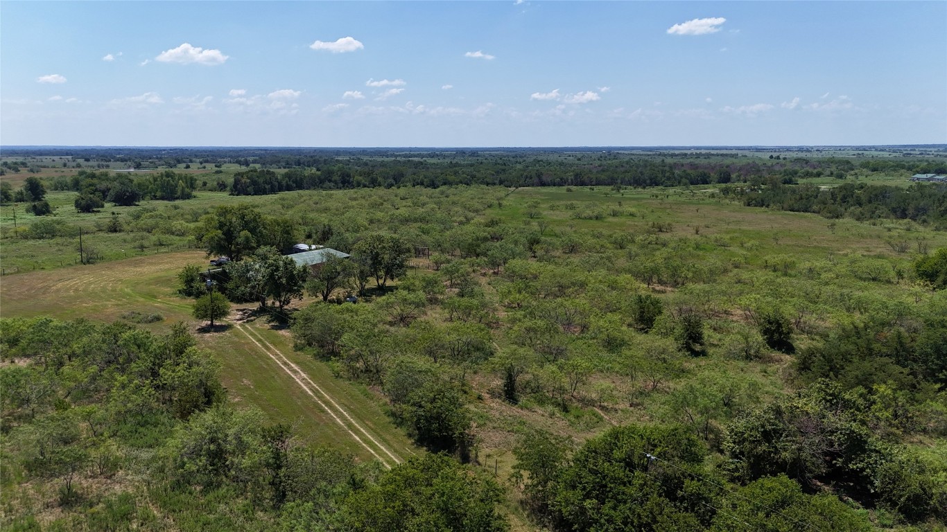 a view of a field with an trees