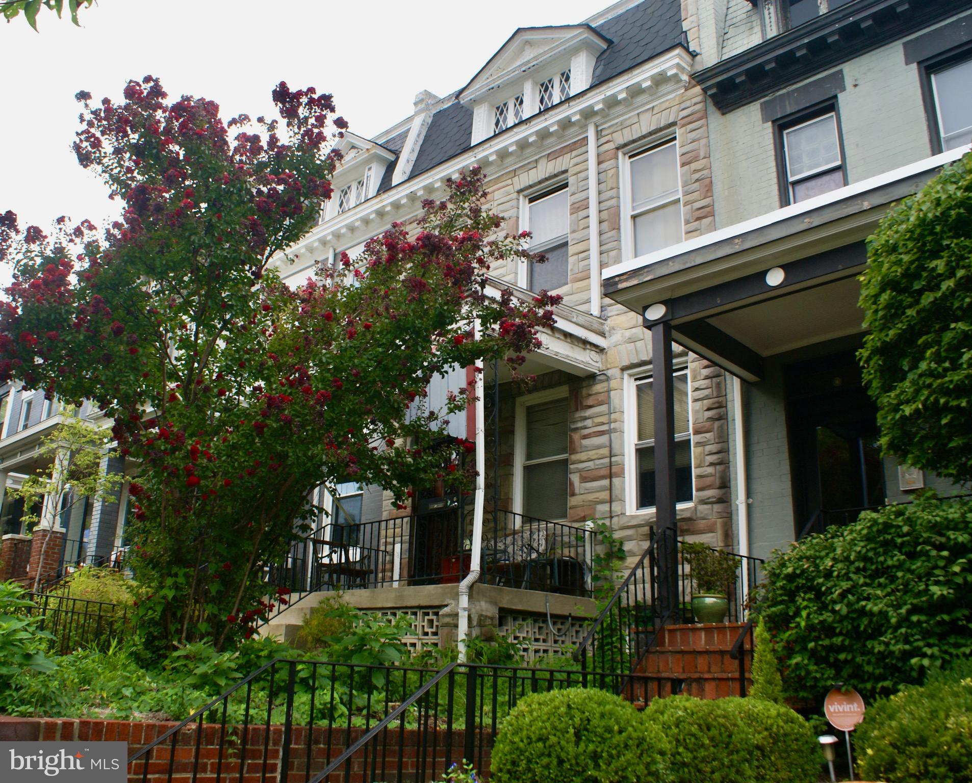 front view of a house with a tree