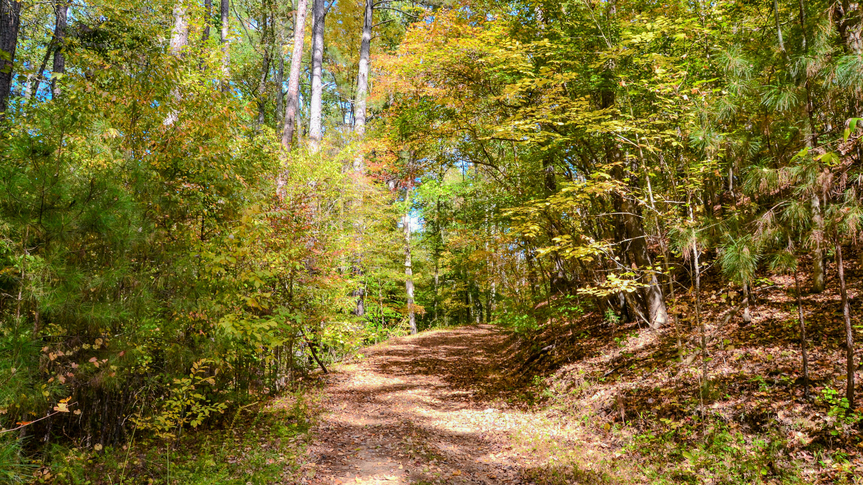 Rocky Branch Land for Sale in South Caro