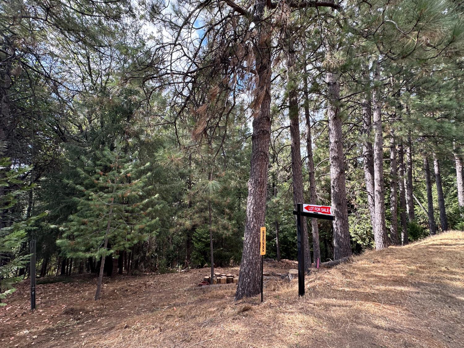 a view of a park with trees