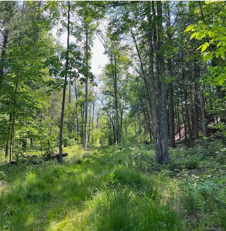 a view of outdoor space and green space