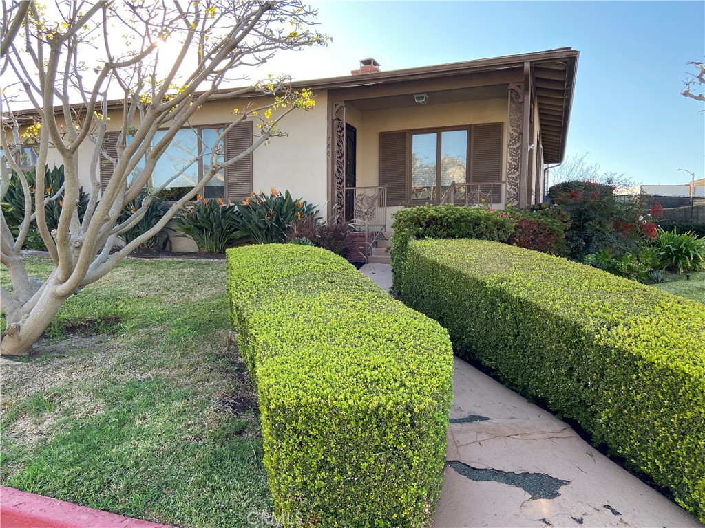 a view of a house with a small yard plants and a large tree