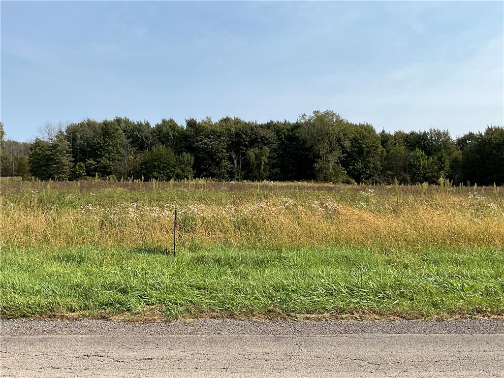 A view of the tillable land along Hindenburg Rd