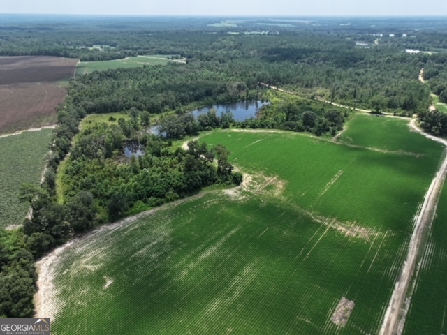 an aerial view of green landscape with trees