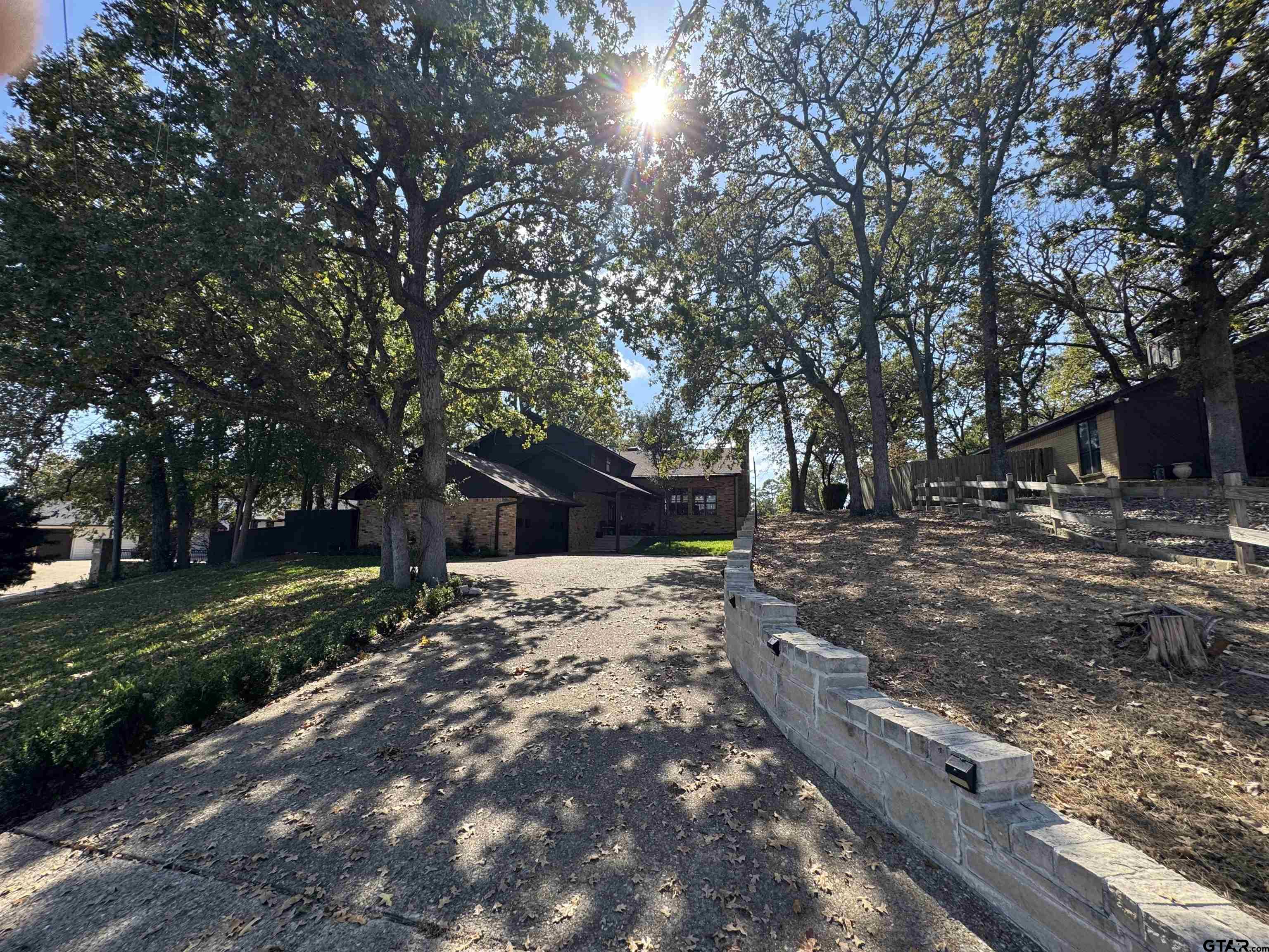 a view of a yard with plants and trees