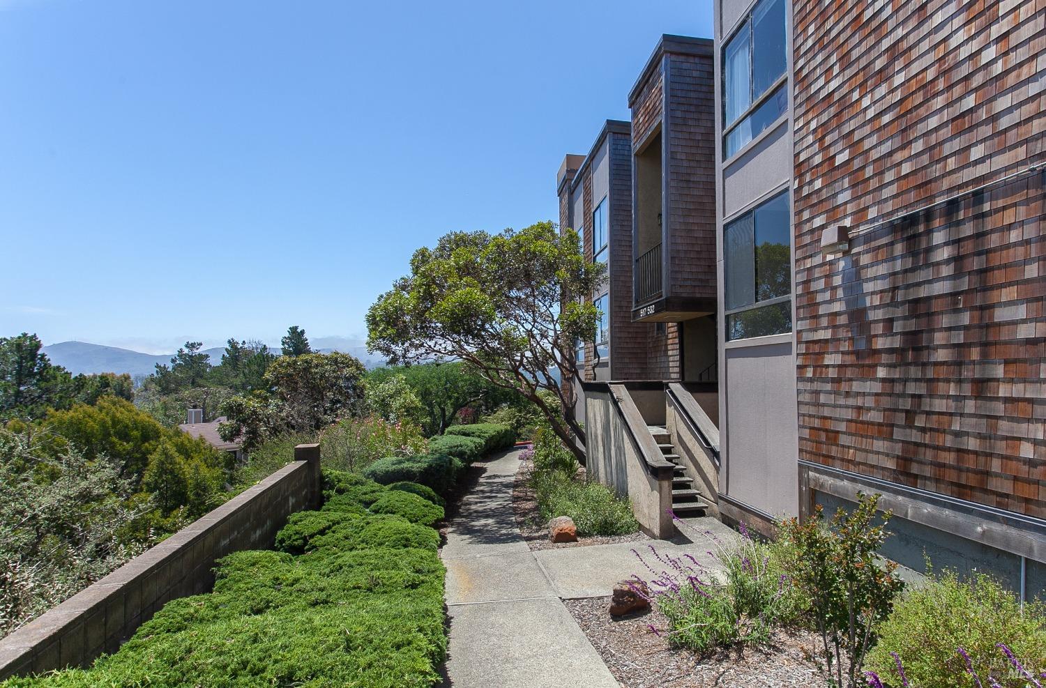 a view of a pathway both side of building