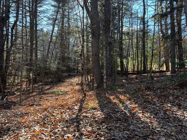 $35,000 | Lot 7 Seasons Rd Mount | Mount Vernon