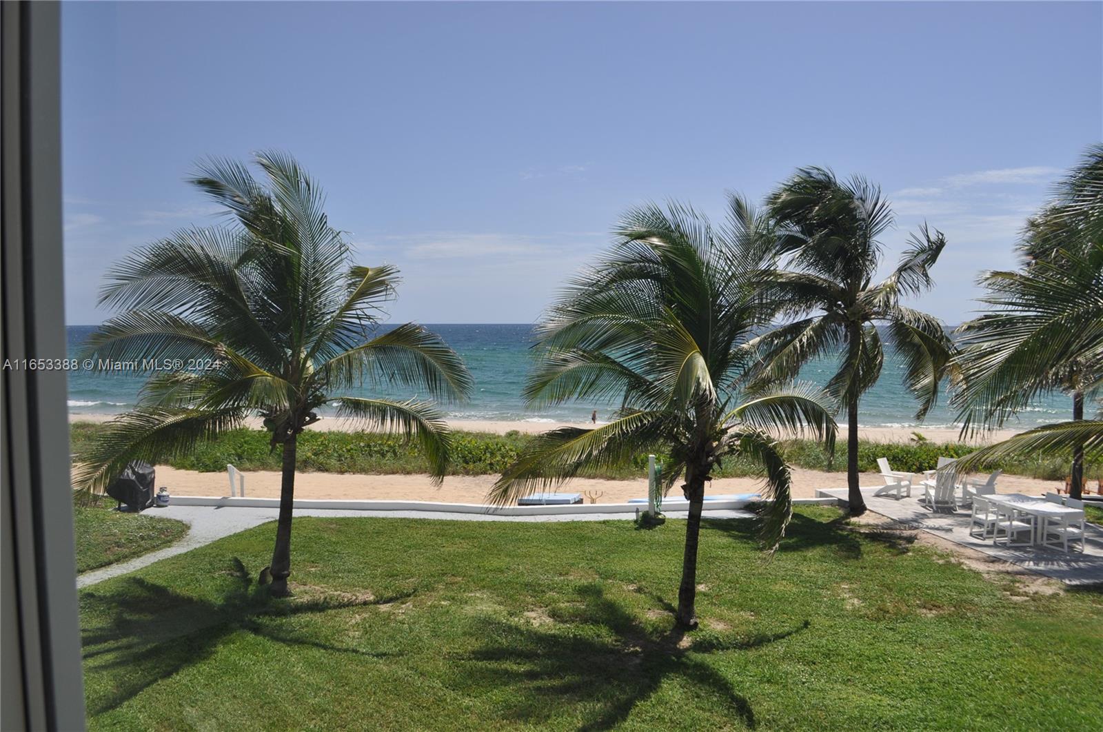 a view of a yard with palm trees