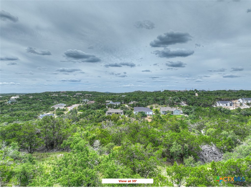 a view of a bunch of trees and bushes