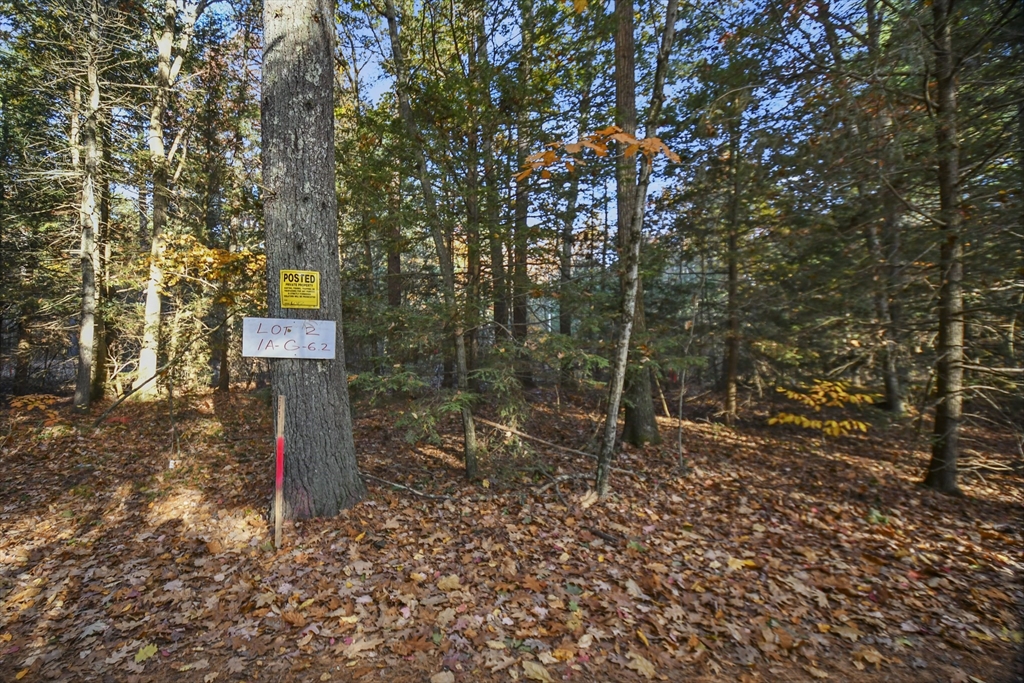 a sign board with tall trees