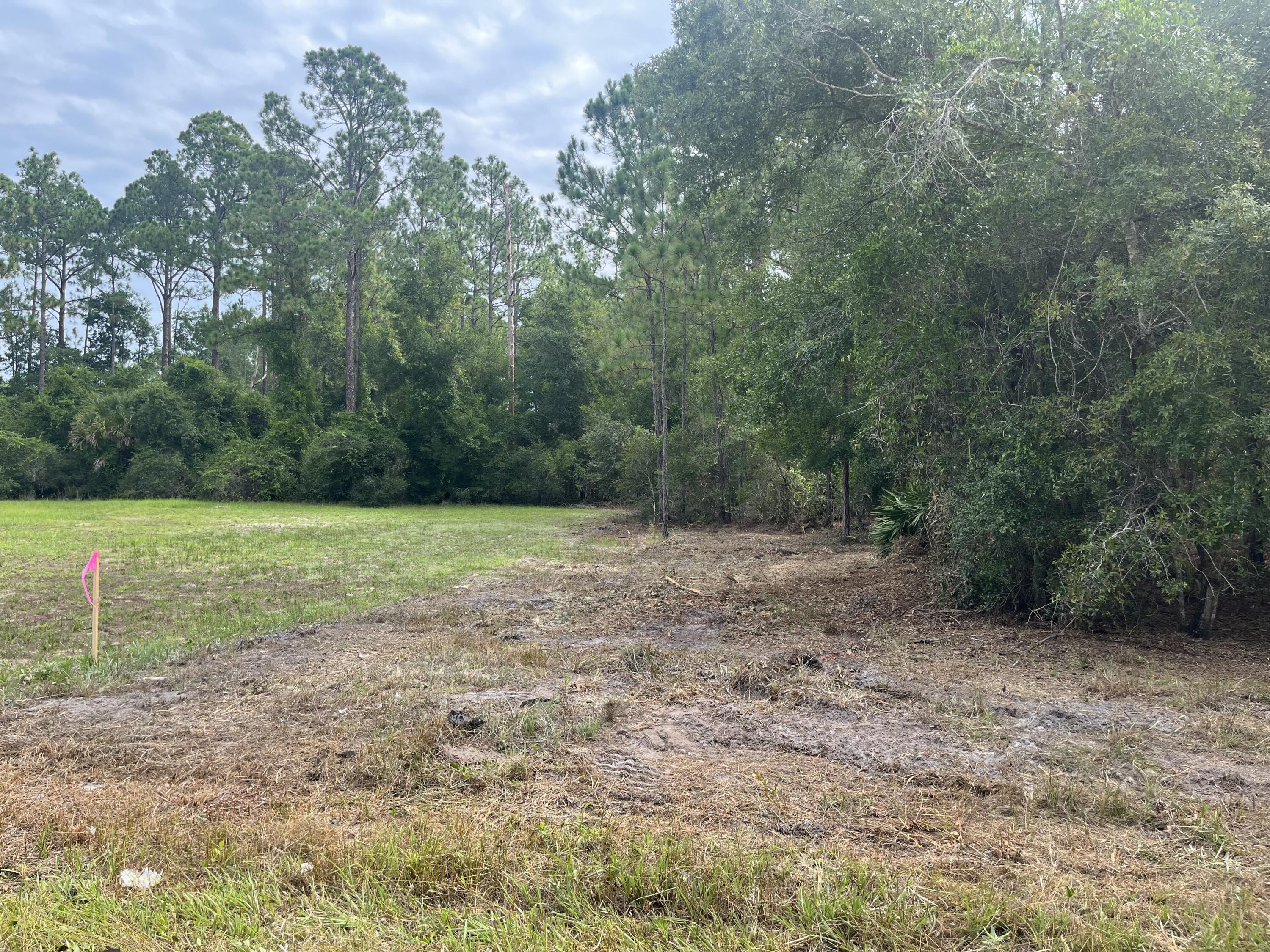 a view of a grassy field with trees in the background