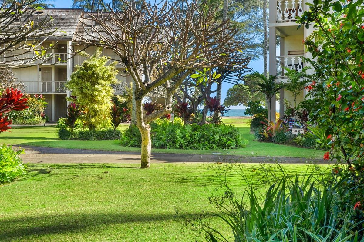 a view of a garden in the patio