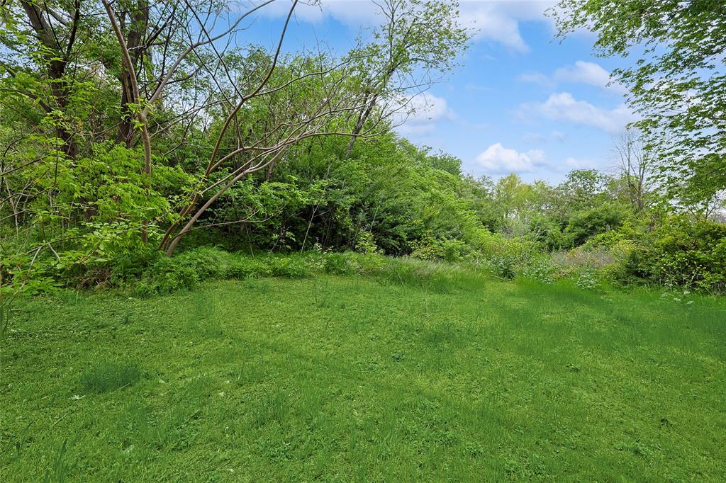 a view of a lush green space