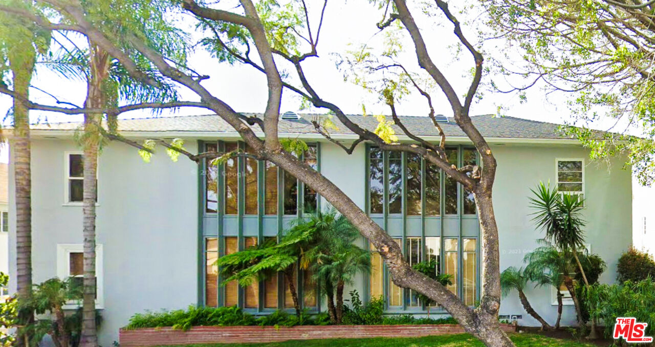 a view of a palm trees front of house