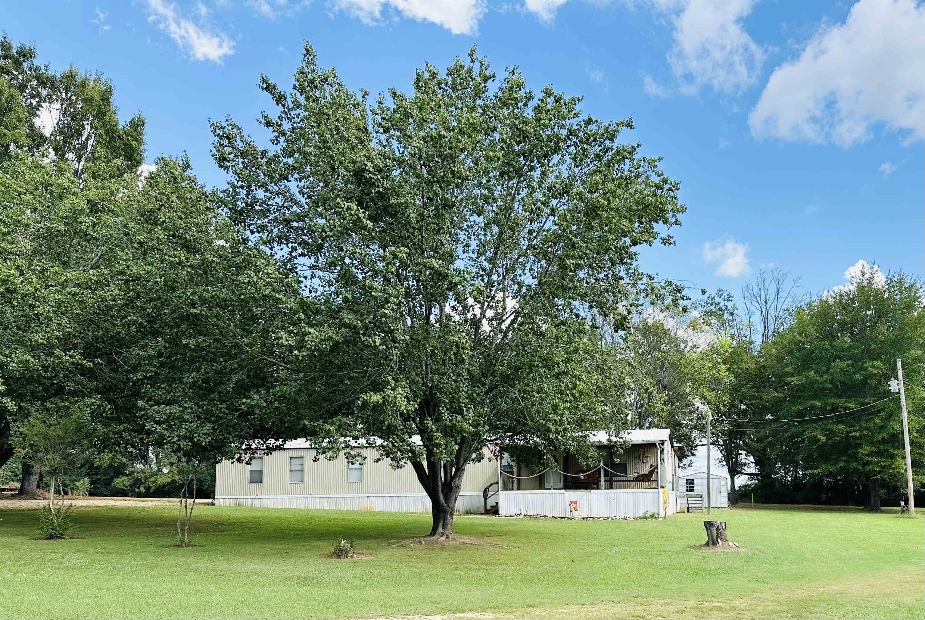 a view of a garden with trees