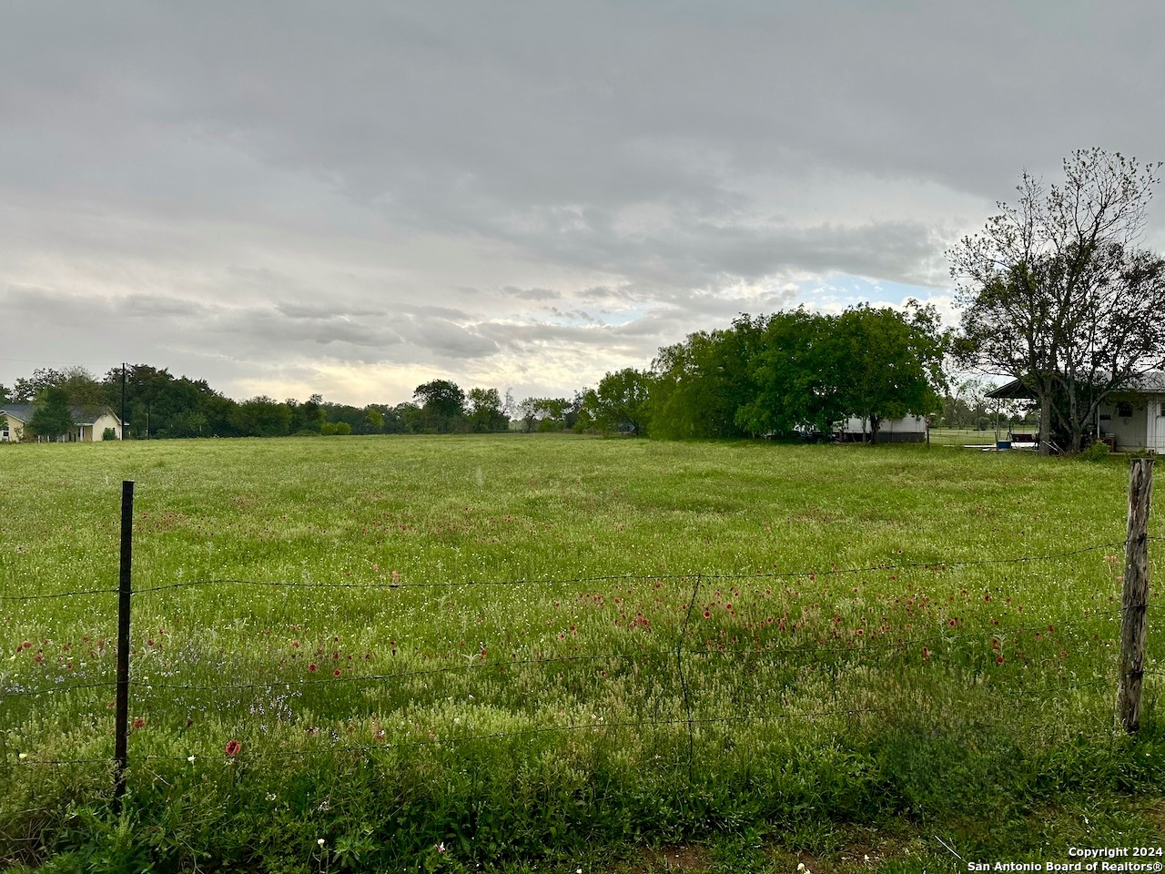 a view of a grassy field