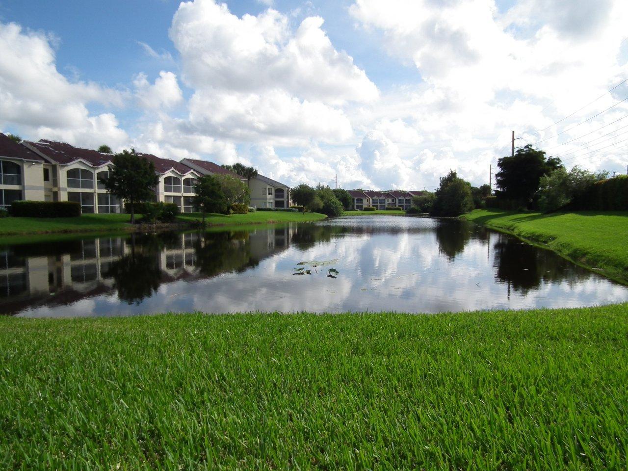 a view of a lake