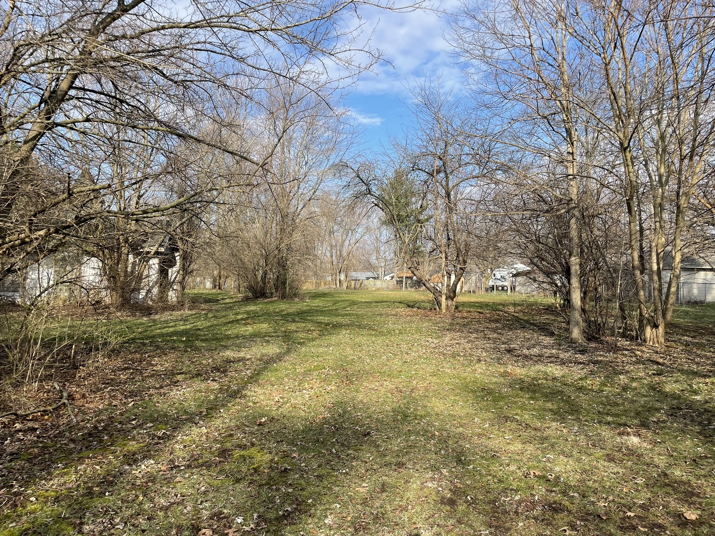 a view of yard with trees