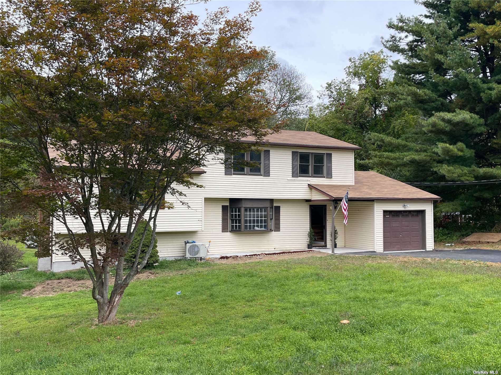 a front view of house with yard and green space