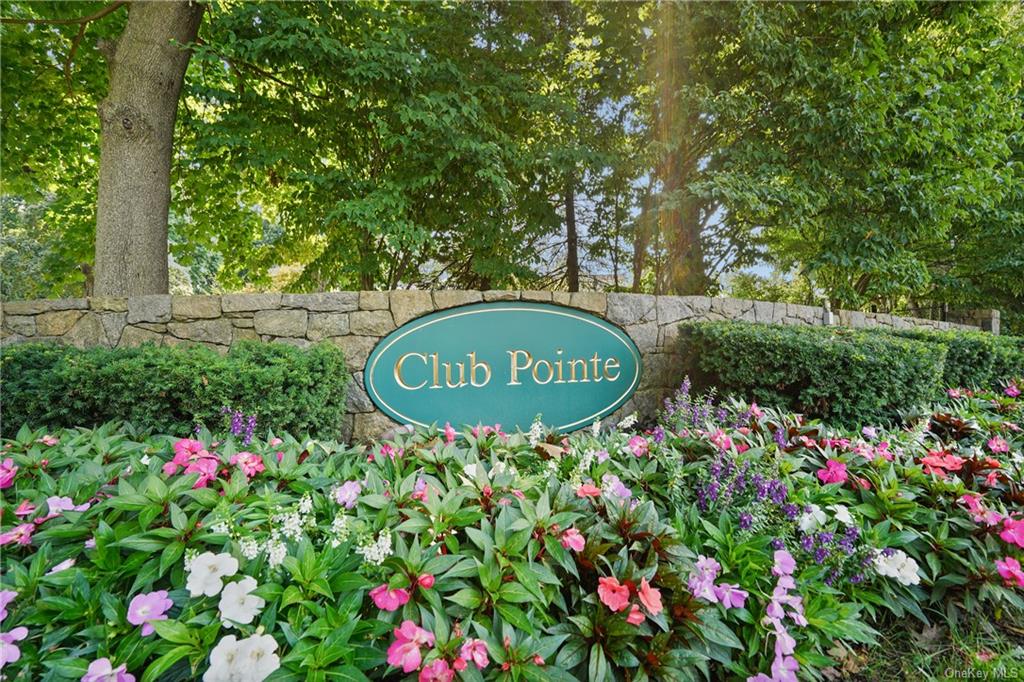 Welcome to Club Pointe