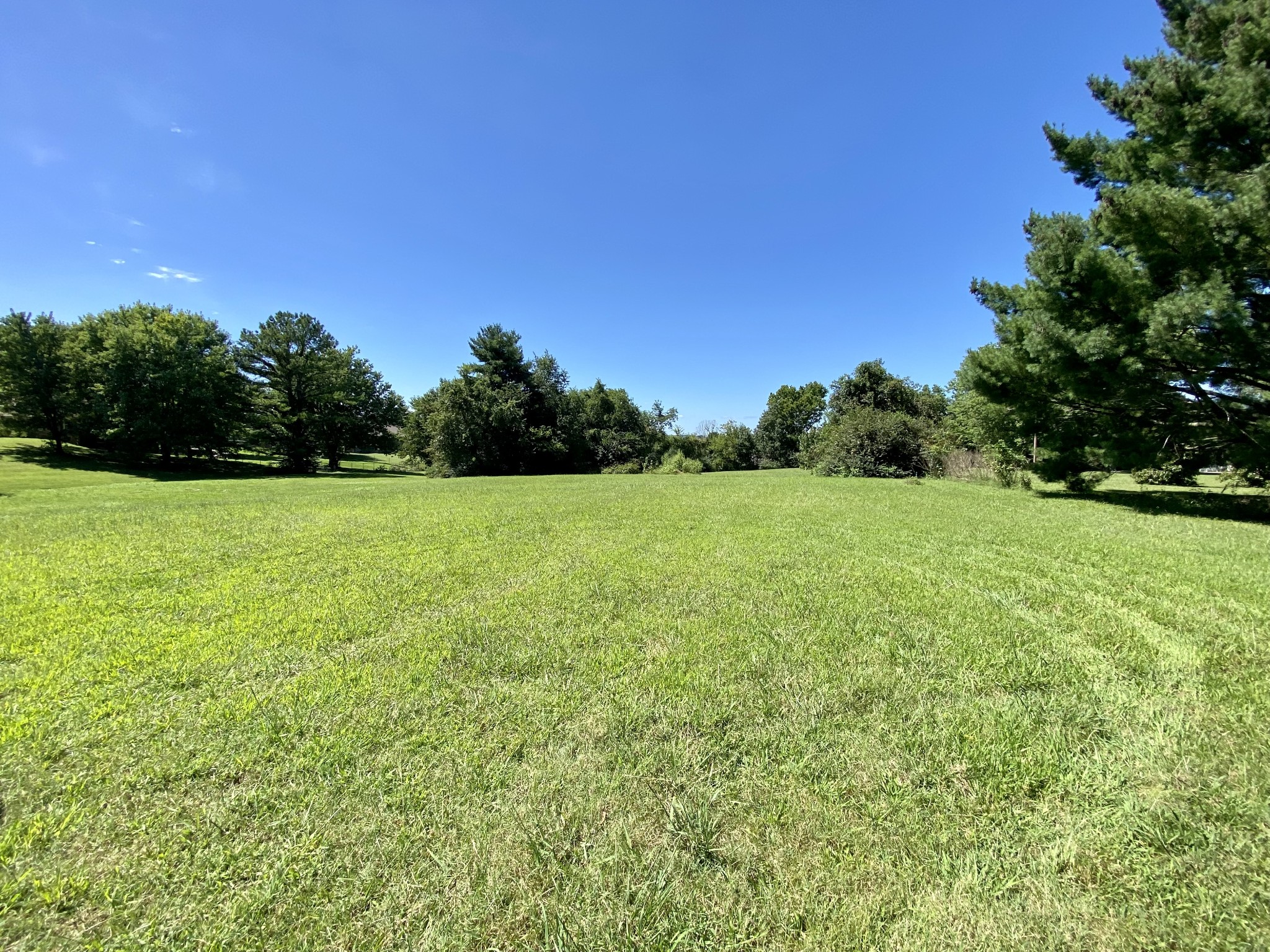 a view of a green yard with a house in the background