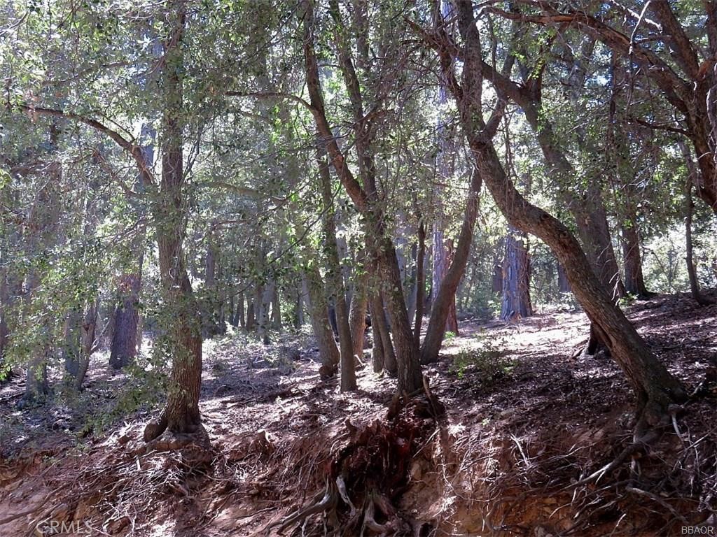 a view of outdoor space with trees