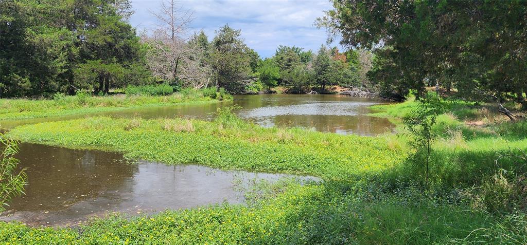 a view of a lake view with a big yard and large trees