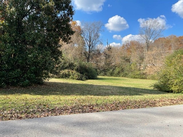 a view of a big yard with large trees