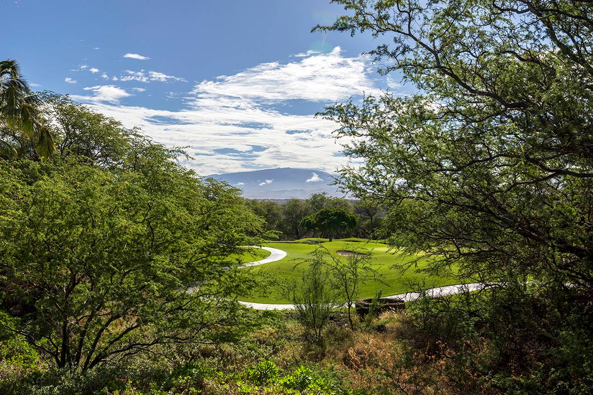 a view of a big yard with lots of green space