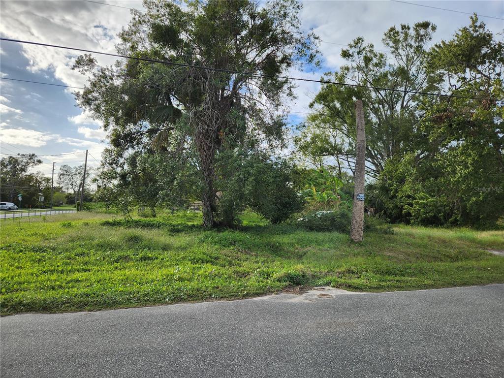 a view of a yard with a tree