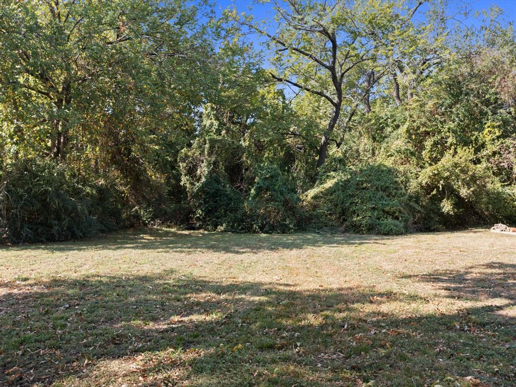 a view of a yard with a tree