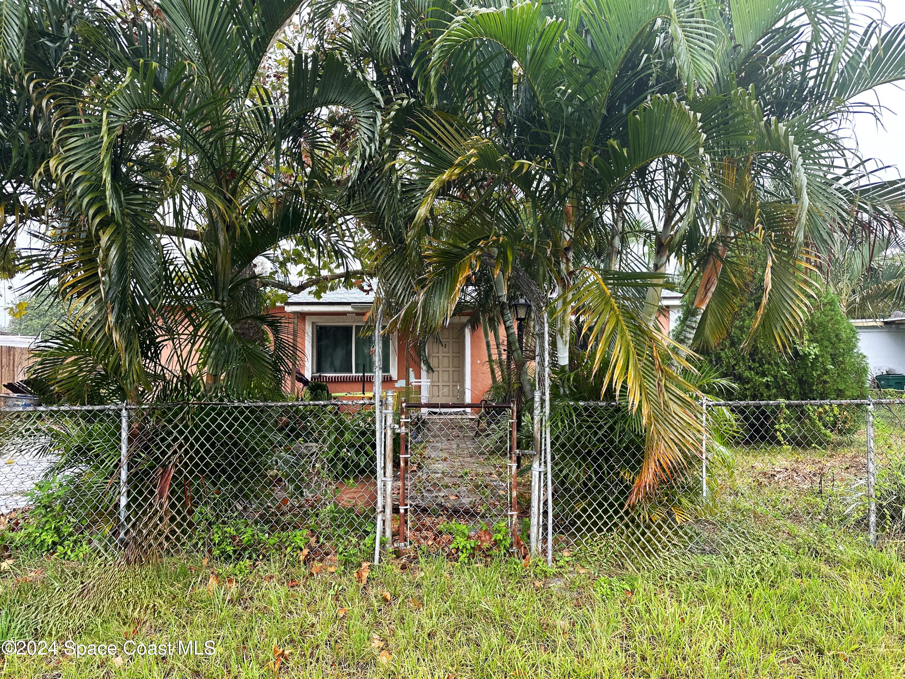 a view of back yard