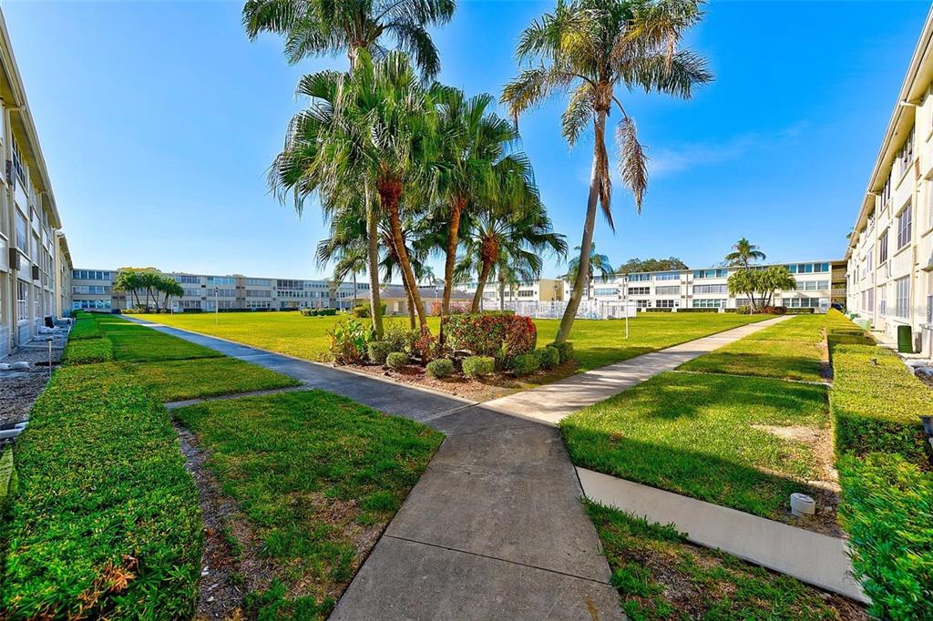 a view of a park with palm trees