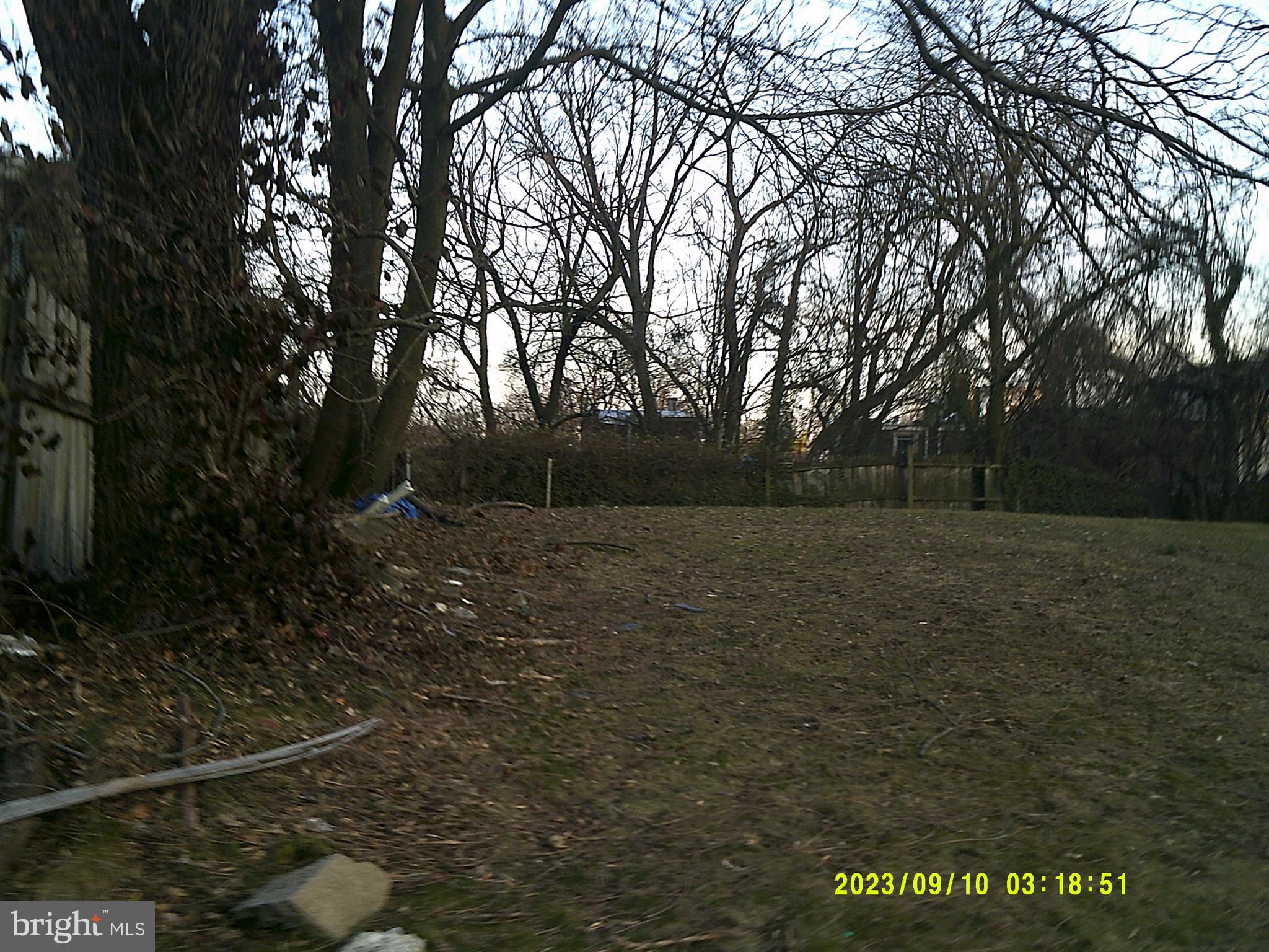 a view of outdoor space and yard