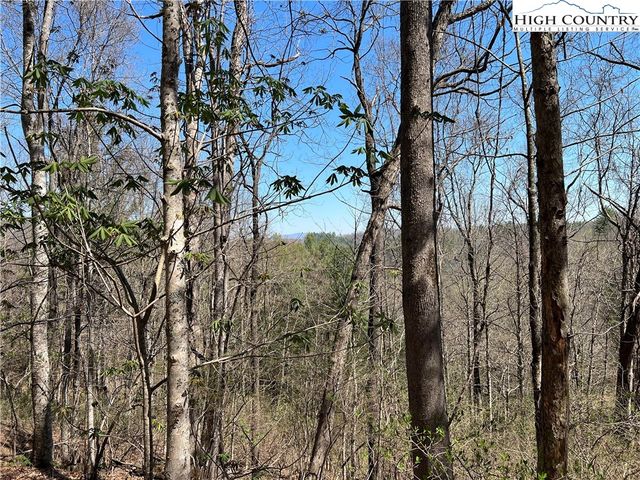 $20,000 | L75-76 North Hidden Mountain Lane | Chestnut Hill Township - Ashe County