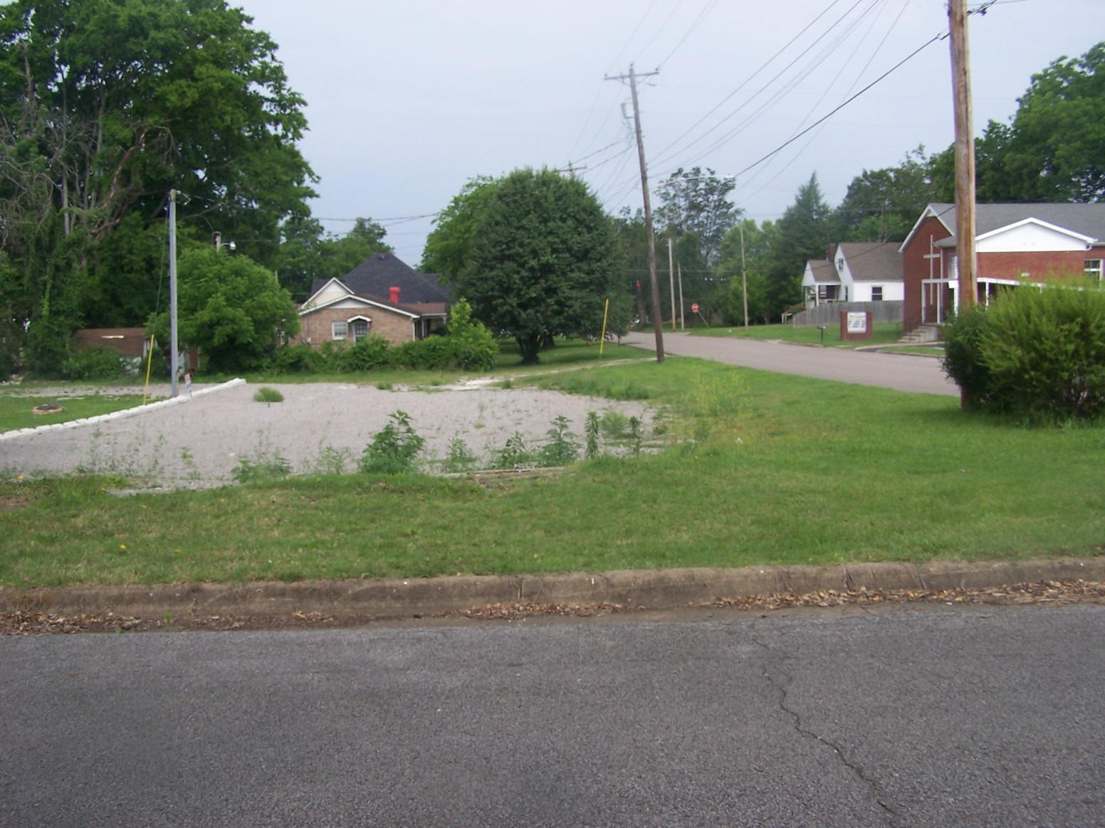 a view of a park with large trees