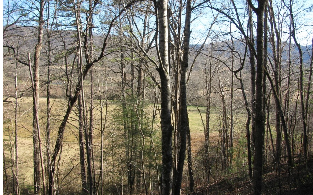 a view of outdoor space and trees