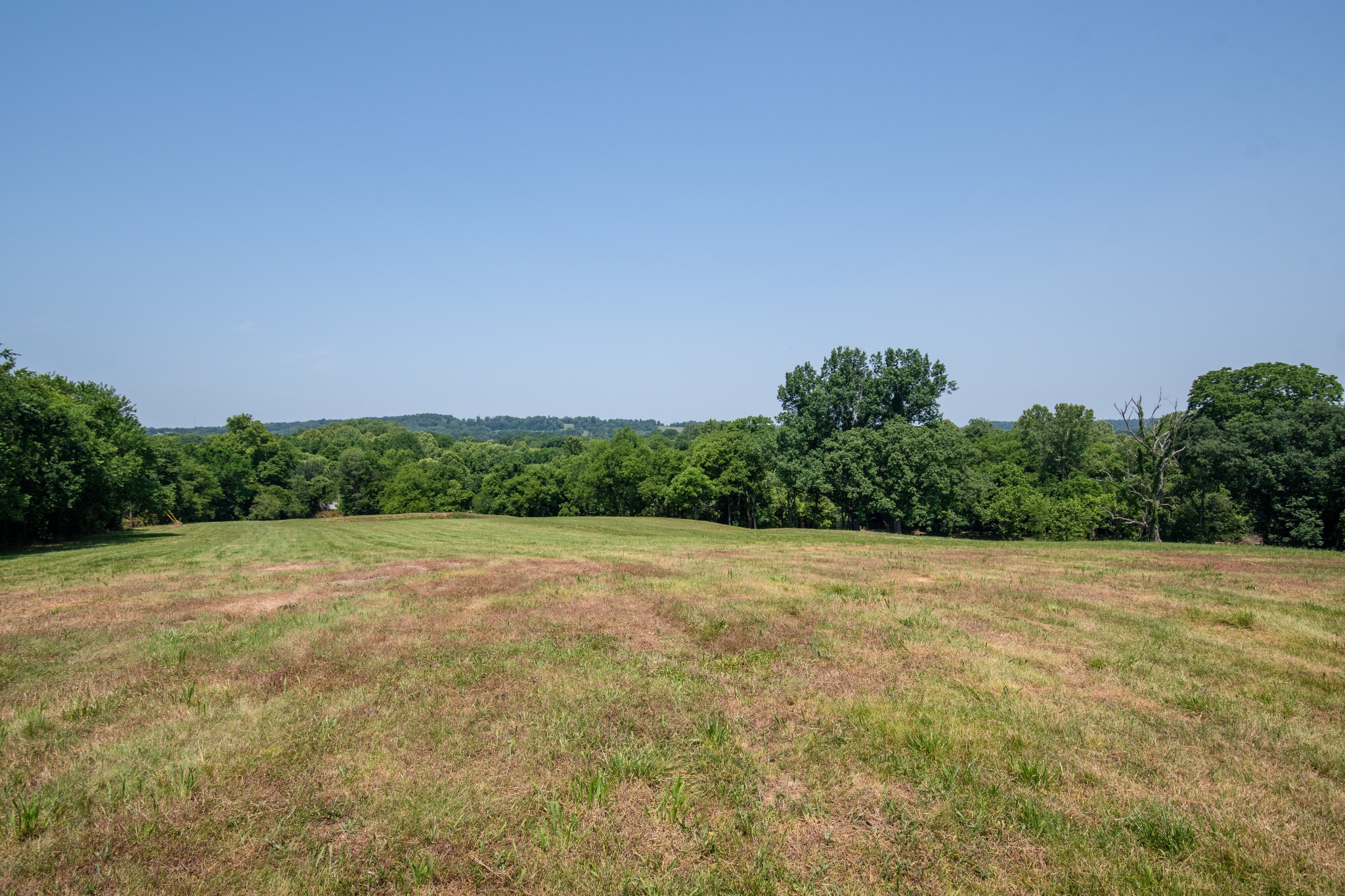 a view of a field with an ocean