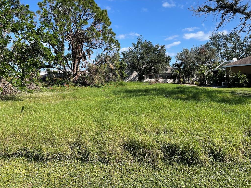 a view of yard with green space