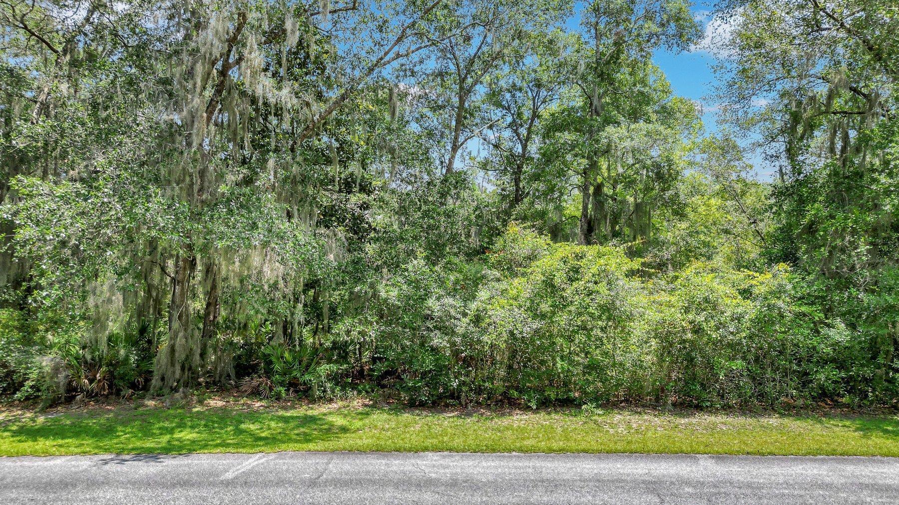 a view of a yard with a trees