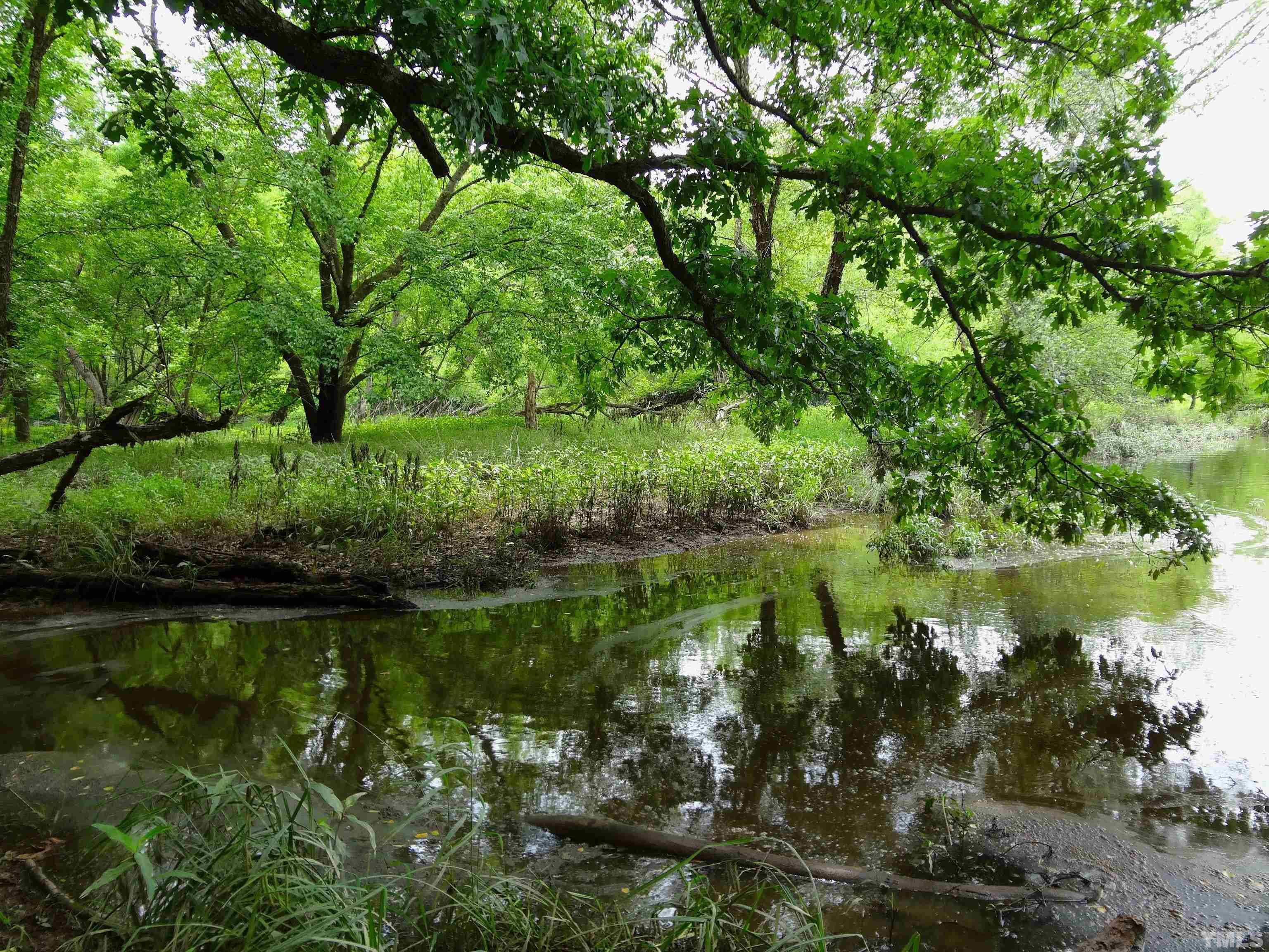 a view of a lake with a garden