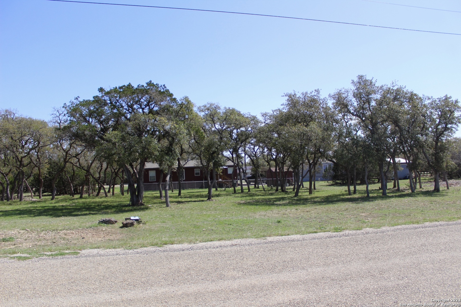 a view of a park with tree s