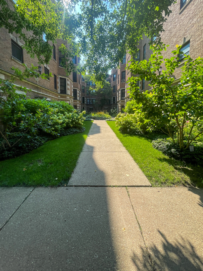 a view of backyard of house with green space