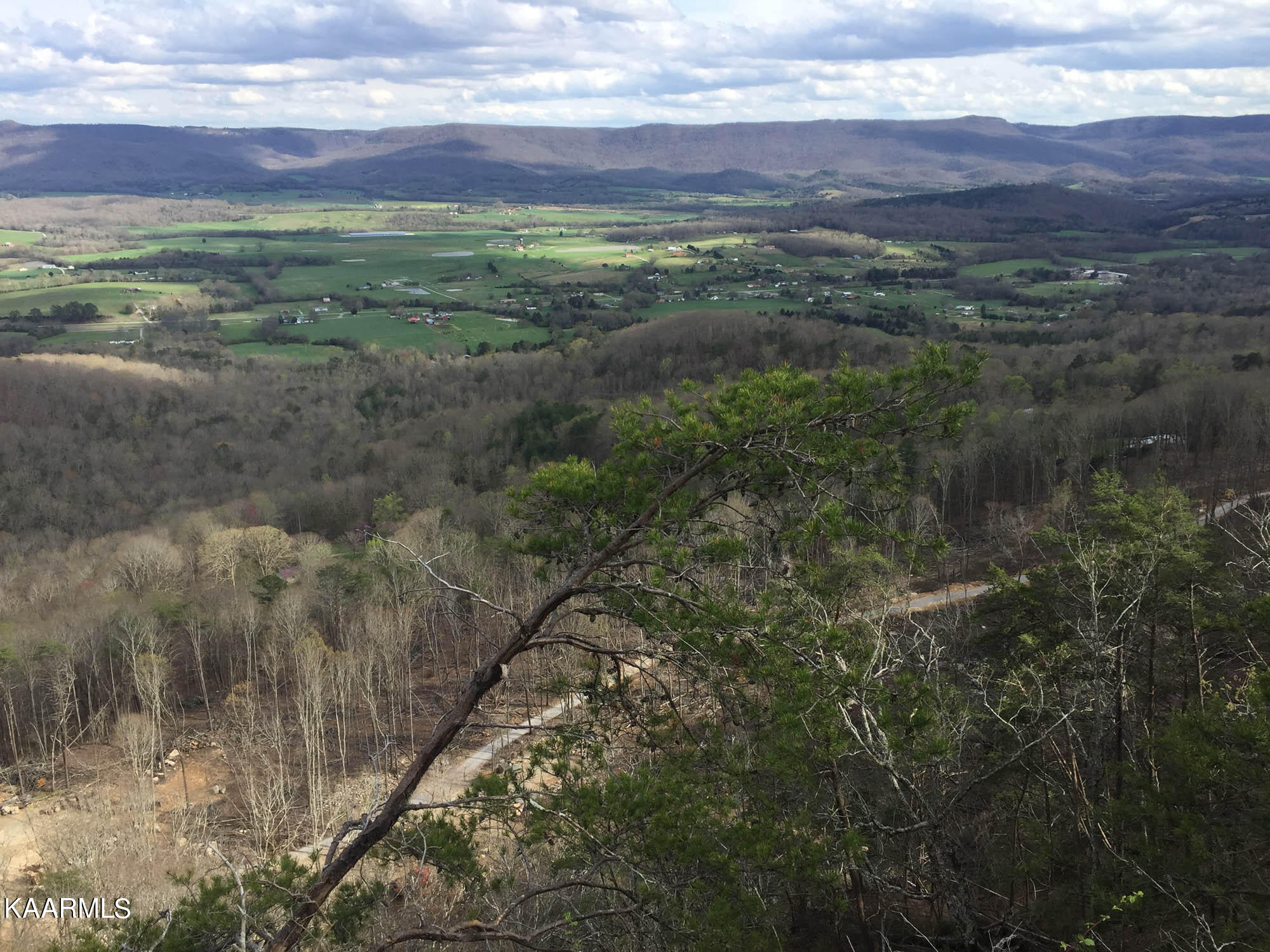 Bench Road 100 acres