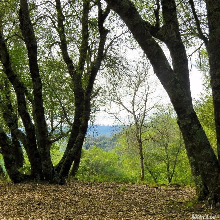 a view of backyard with green space