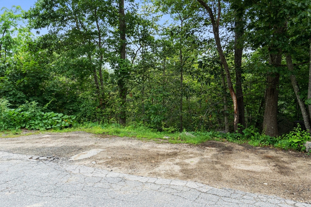 a view of a road with trees in the background